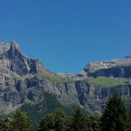 La Corne Du Chamois Sixt-Fer-a-Cheval